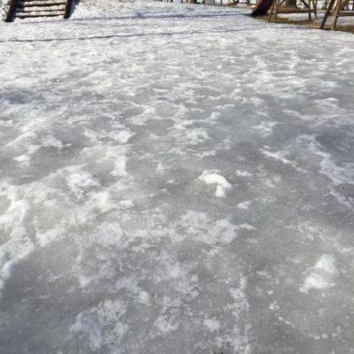 16681858_1226402954073491_6088820417709426816_n