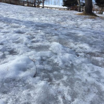 16864293_1226402957406824_8197456136037137654_n