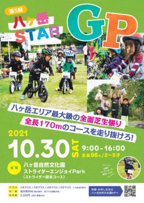 八ヶ岳STARGP10.30_compressed_page-0001